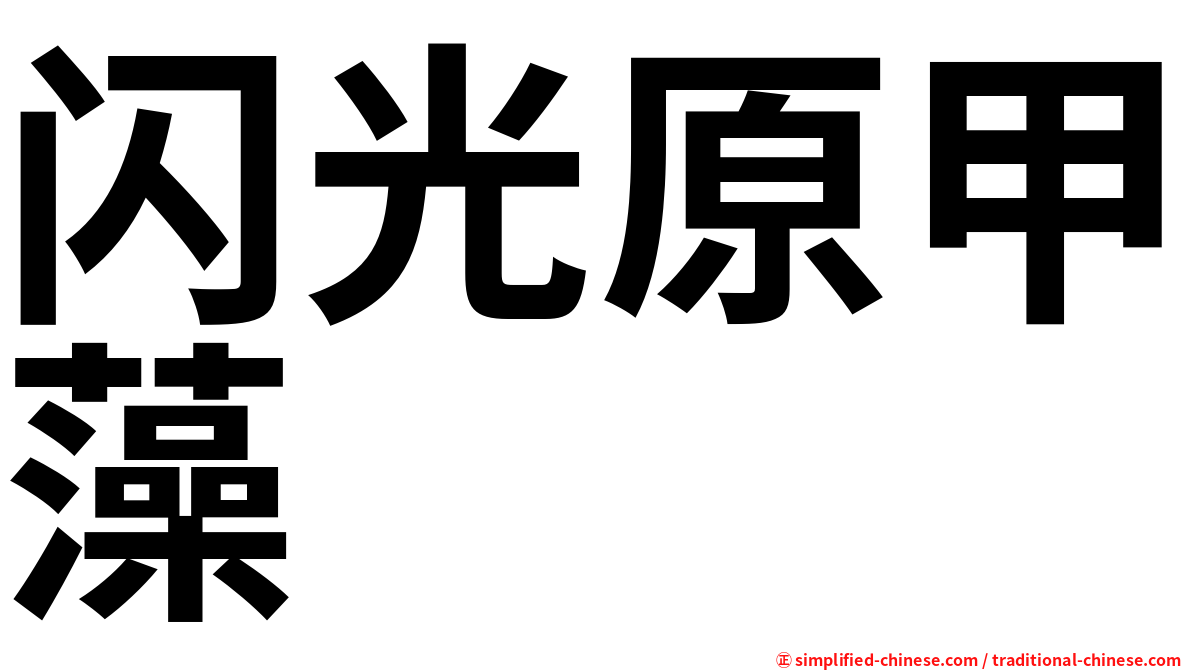 闪光原甲藻
