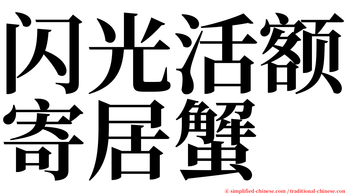 闪光活额寄居蟹 serif font