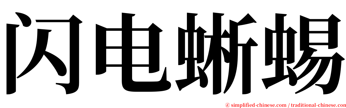 闪电蜥蜴 serif font