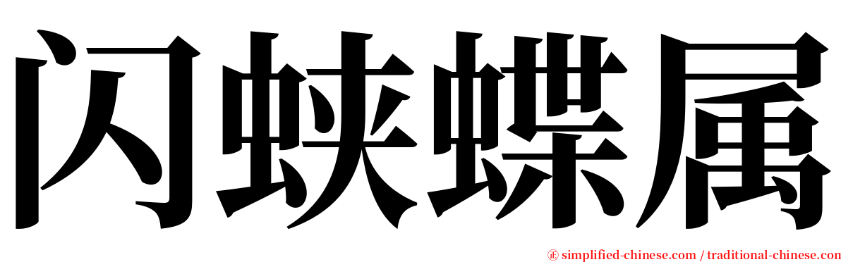 闪蛱蝶属 serif font