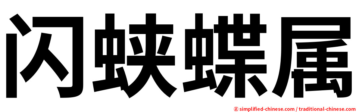 闪蛱蝶属