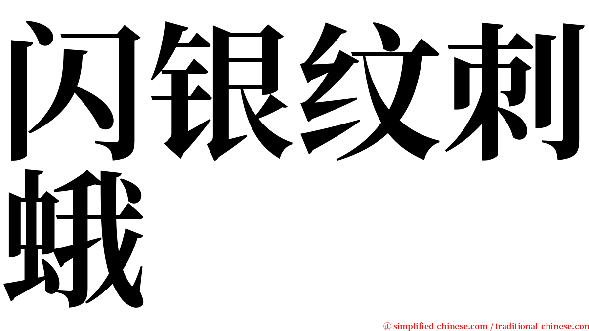 闪银纹刺蛾 serif font