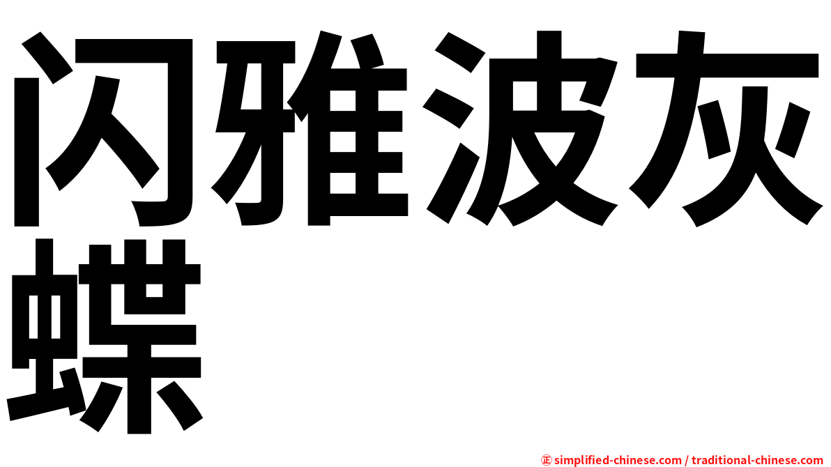 闪雅波灰蝶