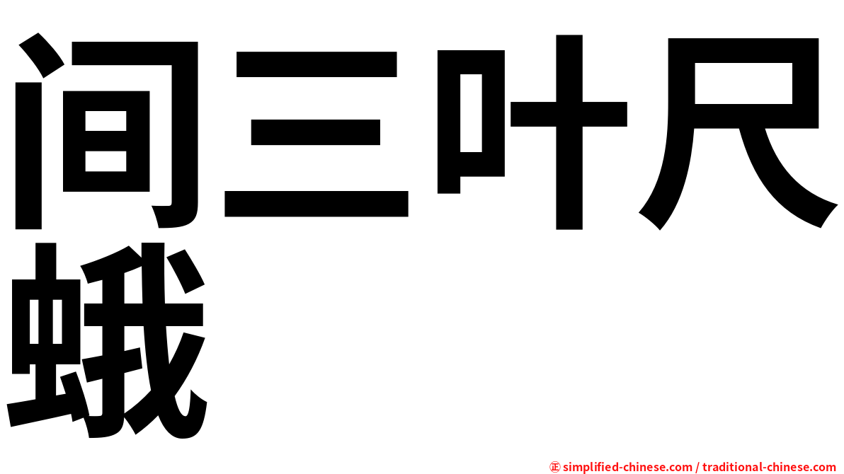 间三叶尺蛾