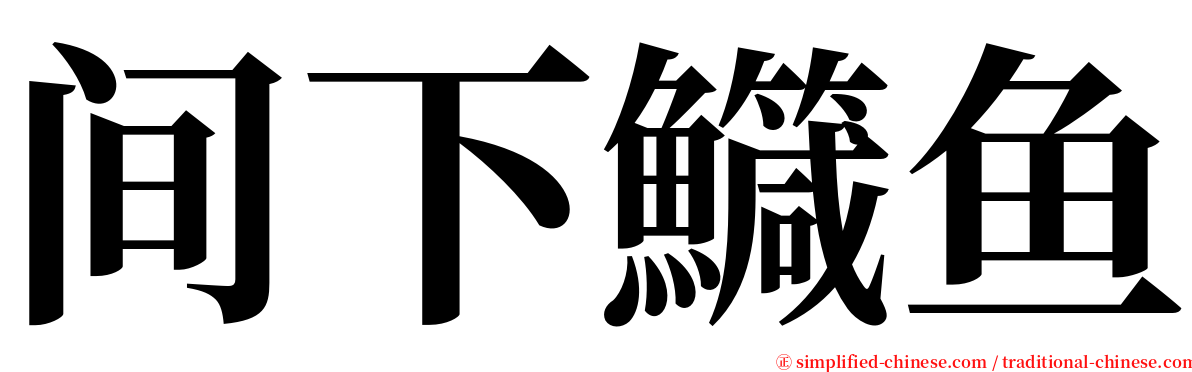 间下鱵鱼 serif font