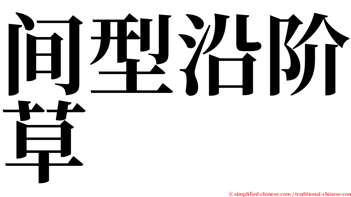间型沿阶草 serif font