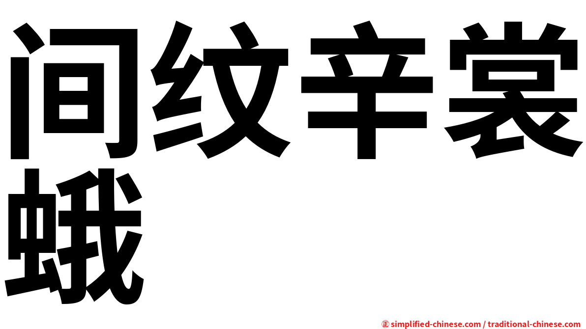 间纹辛裳蛾