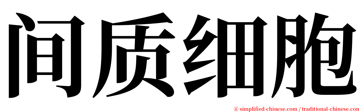 间质细胞 serif font