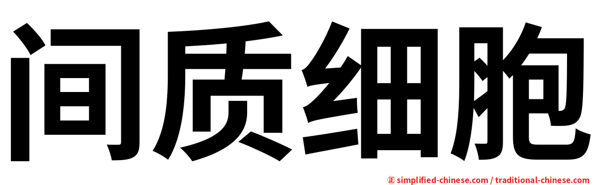 间质细胞