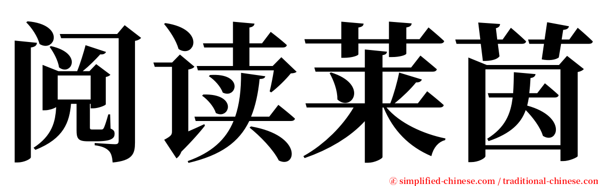 阅读莱茵 serif font