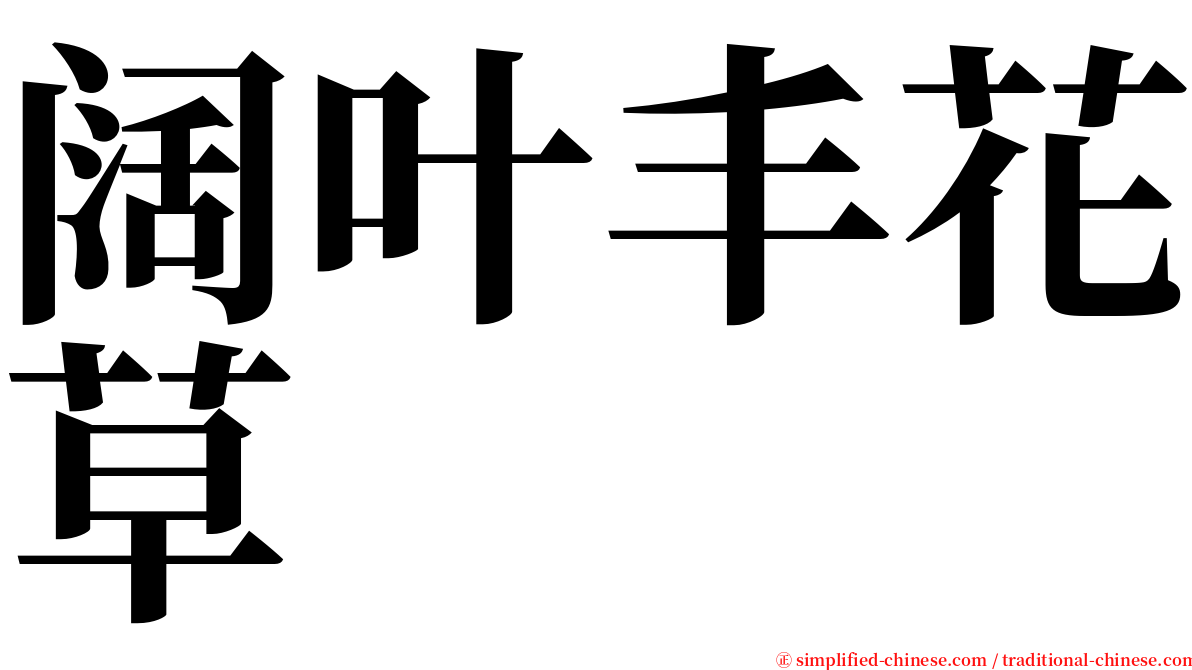 阔叶丰花草 serif font