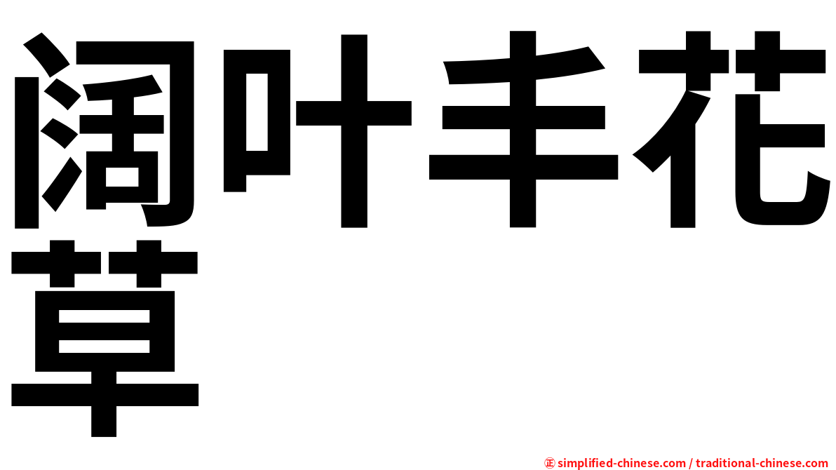 阔叶丰花草