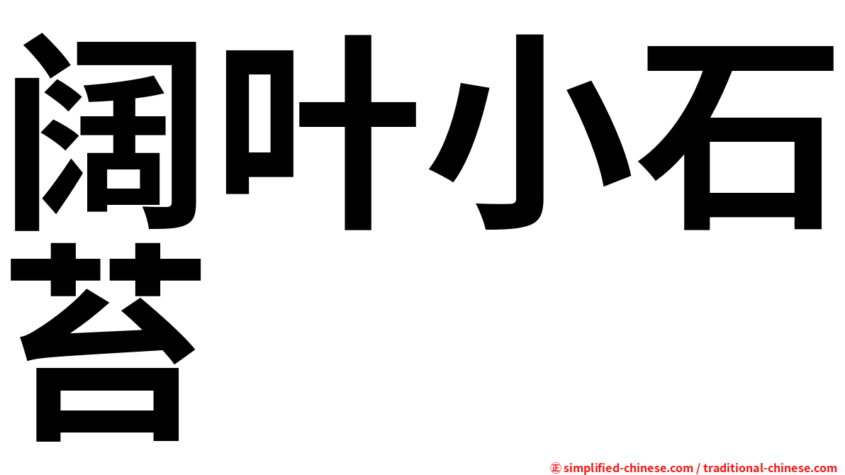阔叶小石苔