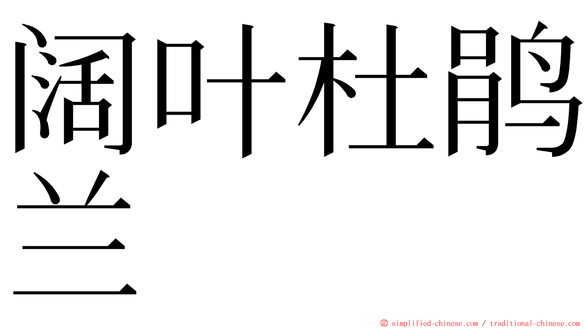 阔叶杜鹃兰 ming font