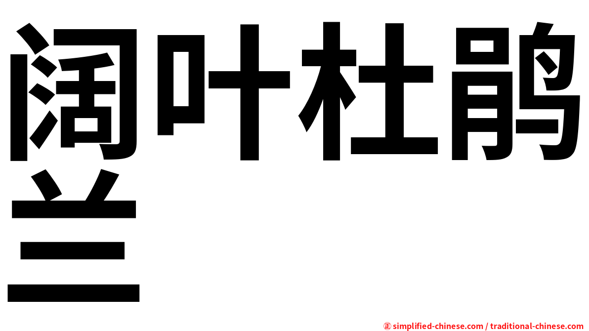 阔叶杜鹃兰