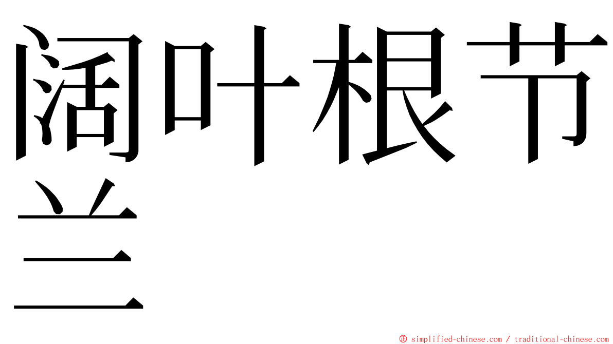 阔叶根节兰 ming font