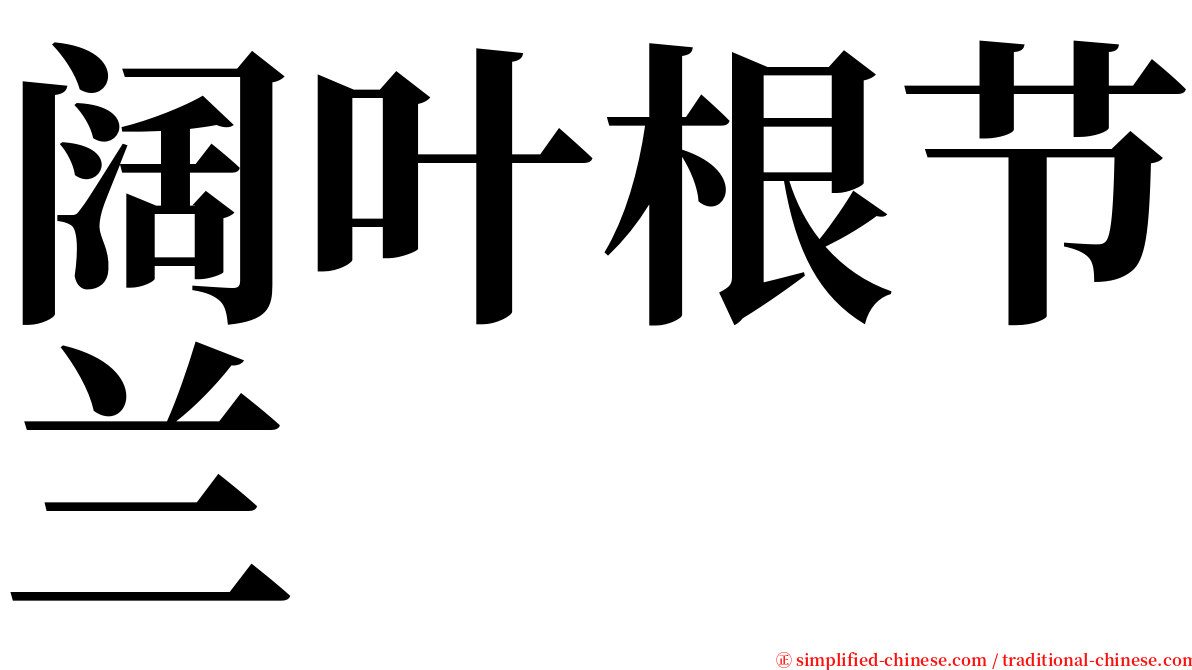 阔叶根节兰 serif font