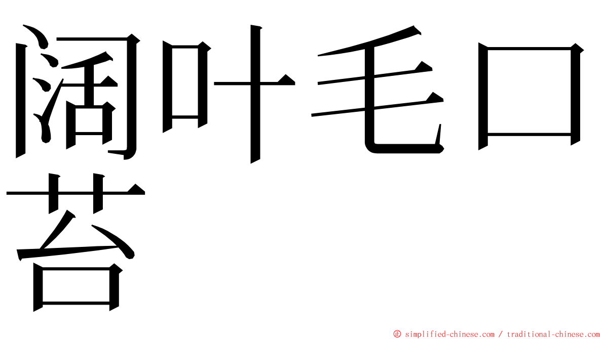 阔叶毛口苔 ming font