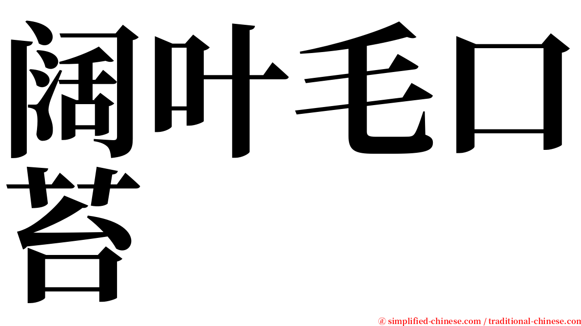 阔叶毛口苔 serif font