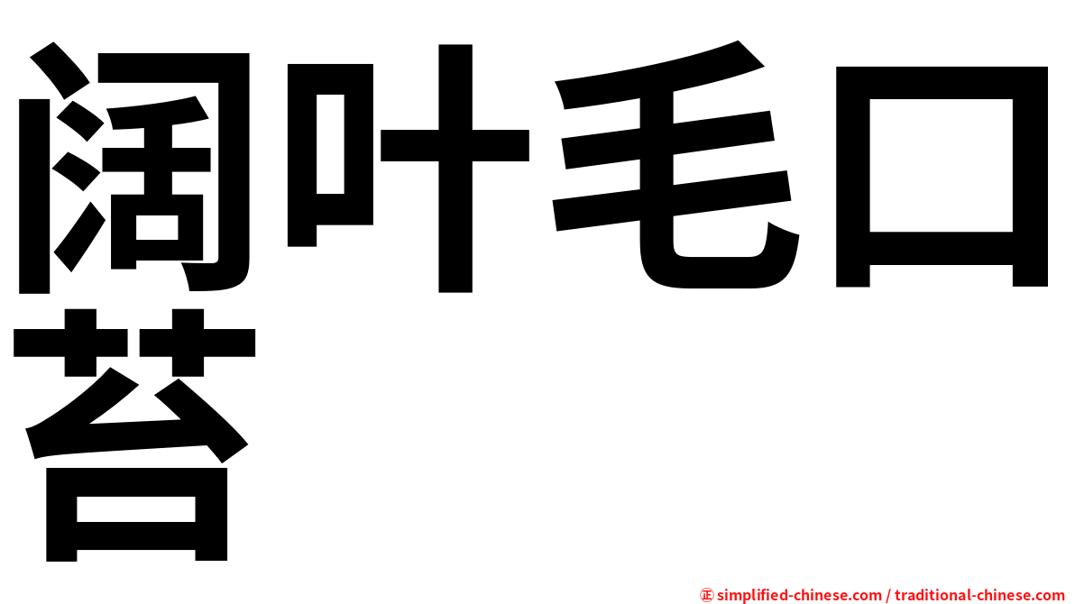 阔叶毛口苔