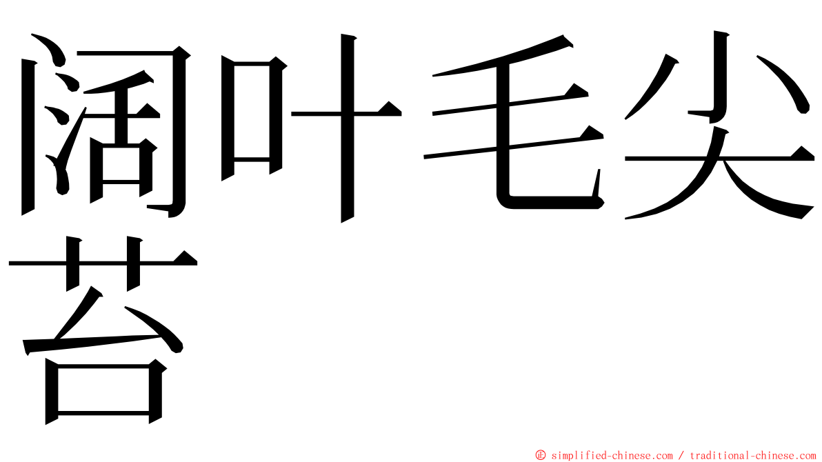 阔叶毛尖苔 ming font