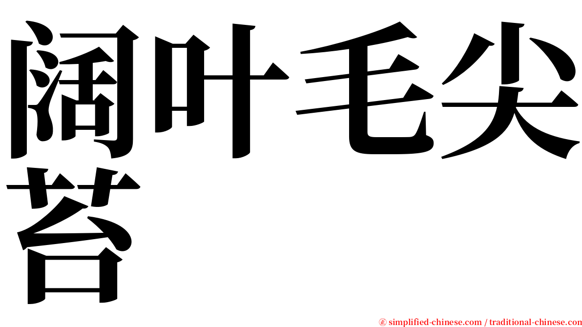 阔叶毛尖苔 serif font