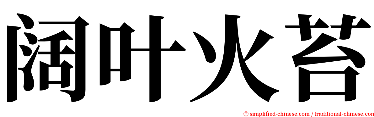 阔叶火苔 serif font