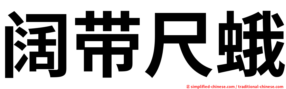 阔带尺蛾