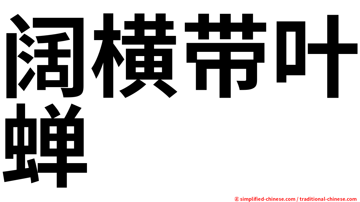 阔横带叶蝉