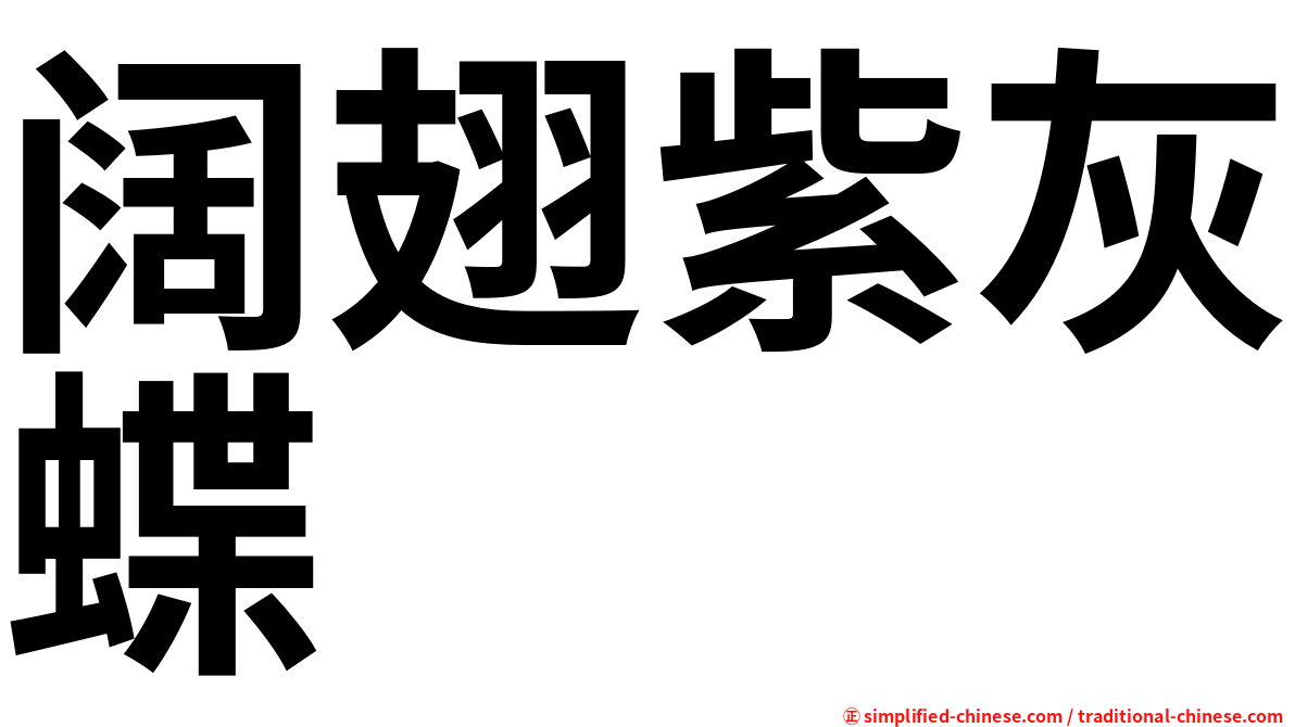 阔翅紫灰蝶