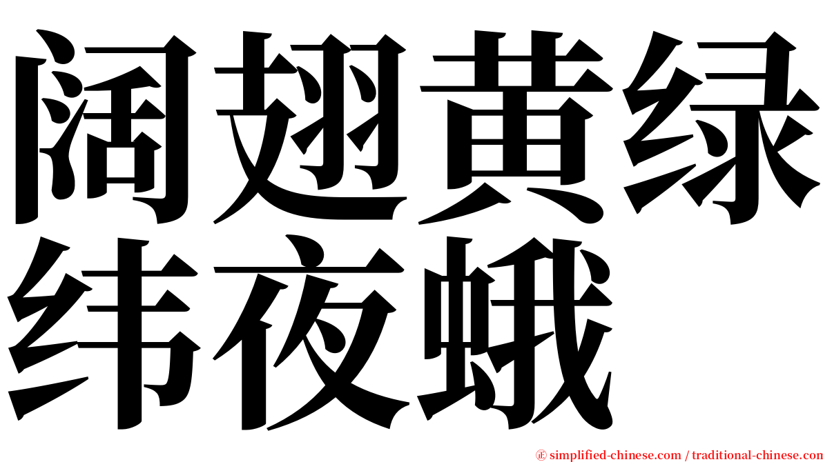 阔翅黄绿纬夜蛾 serif font
