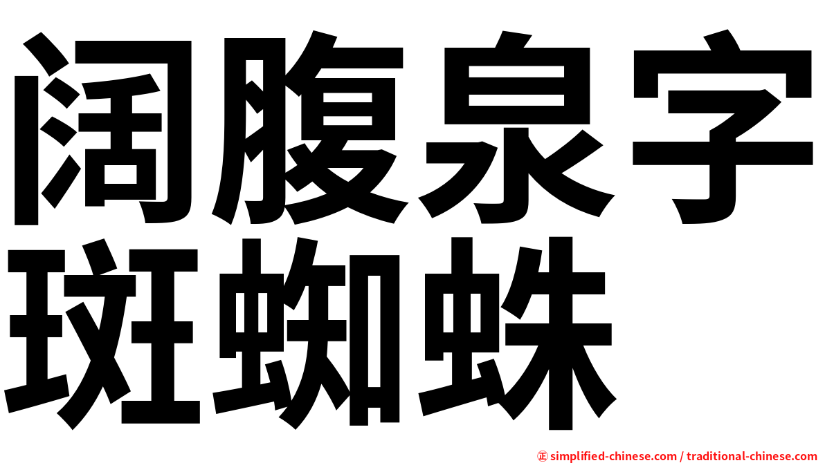 阔腹泉字斑蜘蛛