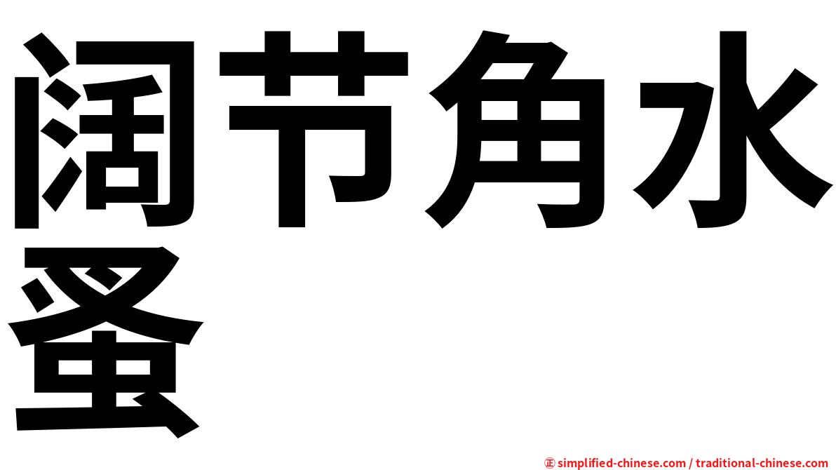 阔节角水蚤
