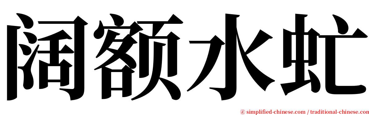 阔额水虻 serif font