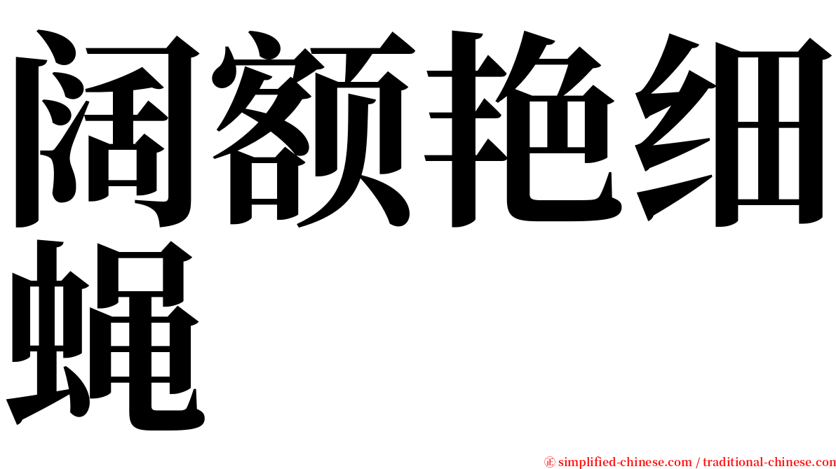 阔额艳细蝇 serif font