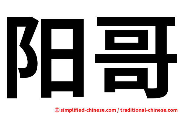 阳哥