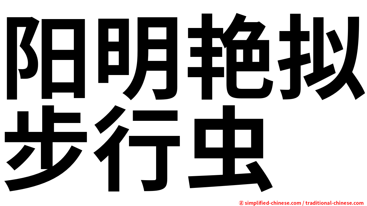 阳明艳拟步行虫