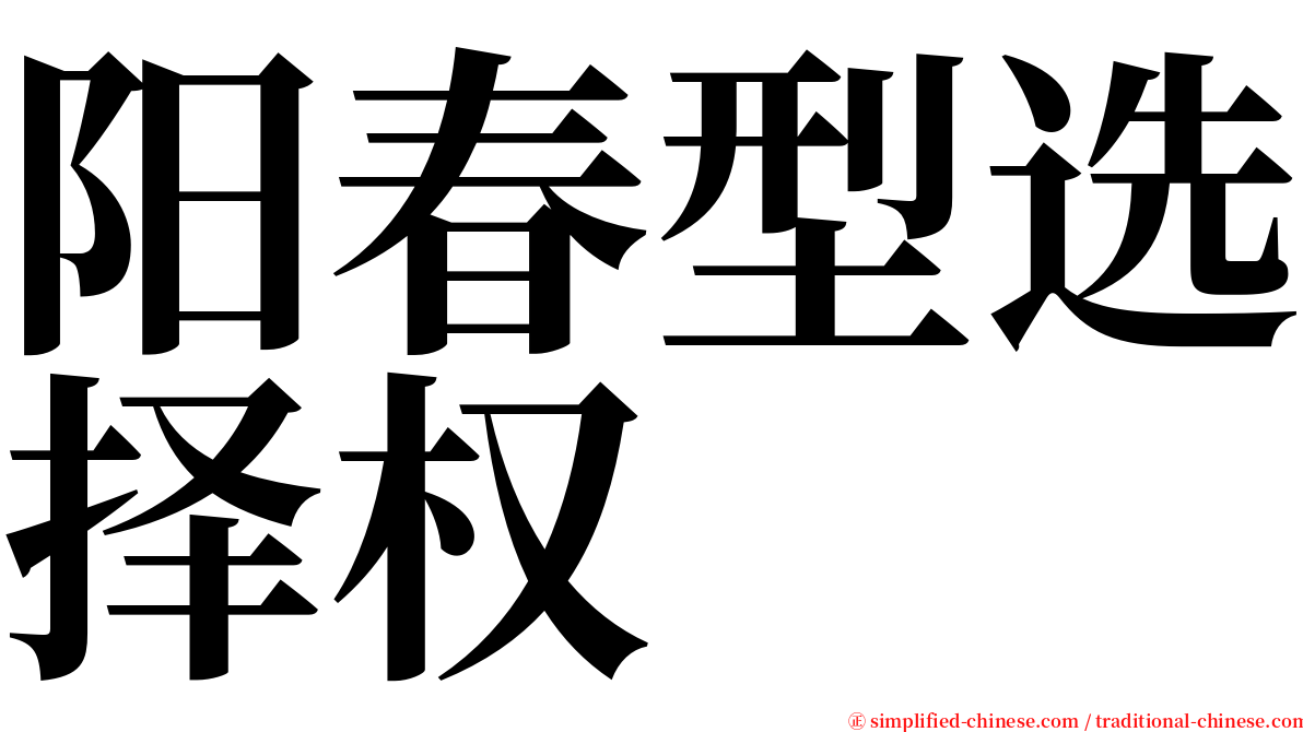 阳春型选择权 serif font