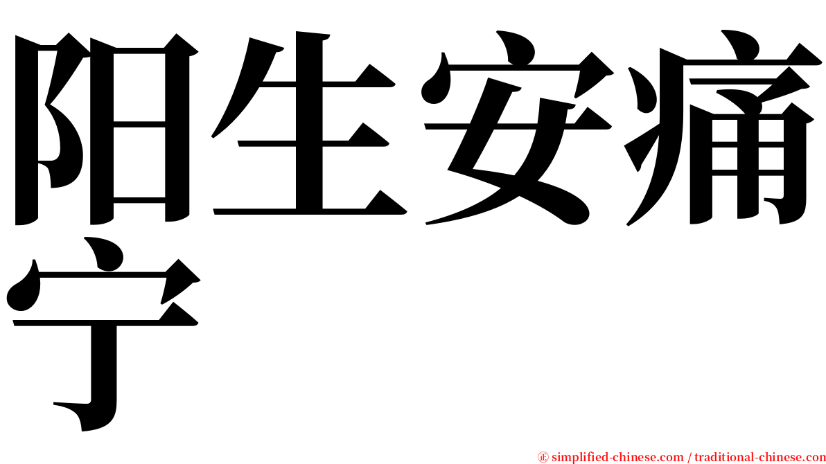阳生安痛宁 serif font