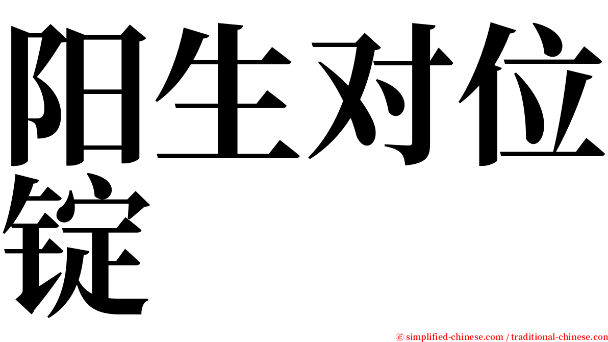 阳生对位锭 serif font
