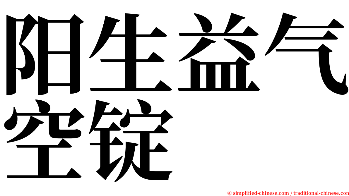 阳生益气空锭 serif font