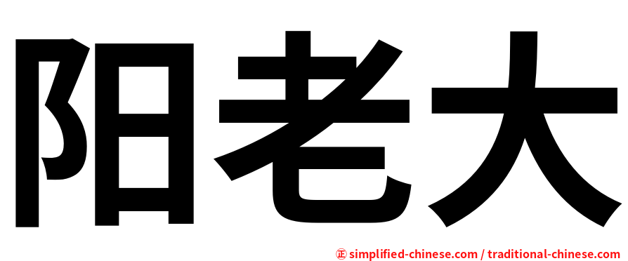 阳老大