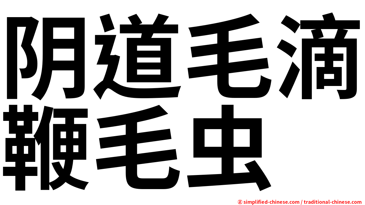 阴道毛滴鞭毛虫