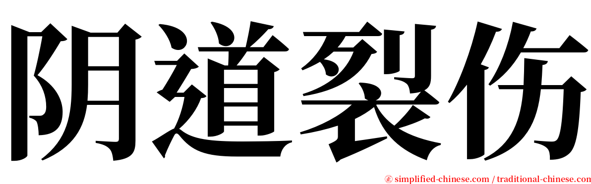 阴道裂伤 serif font