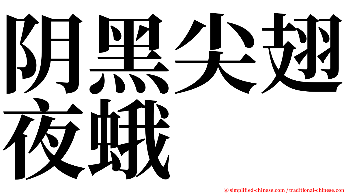 阴黑尖翅夜蛾 serif font