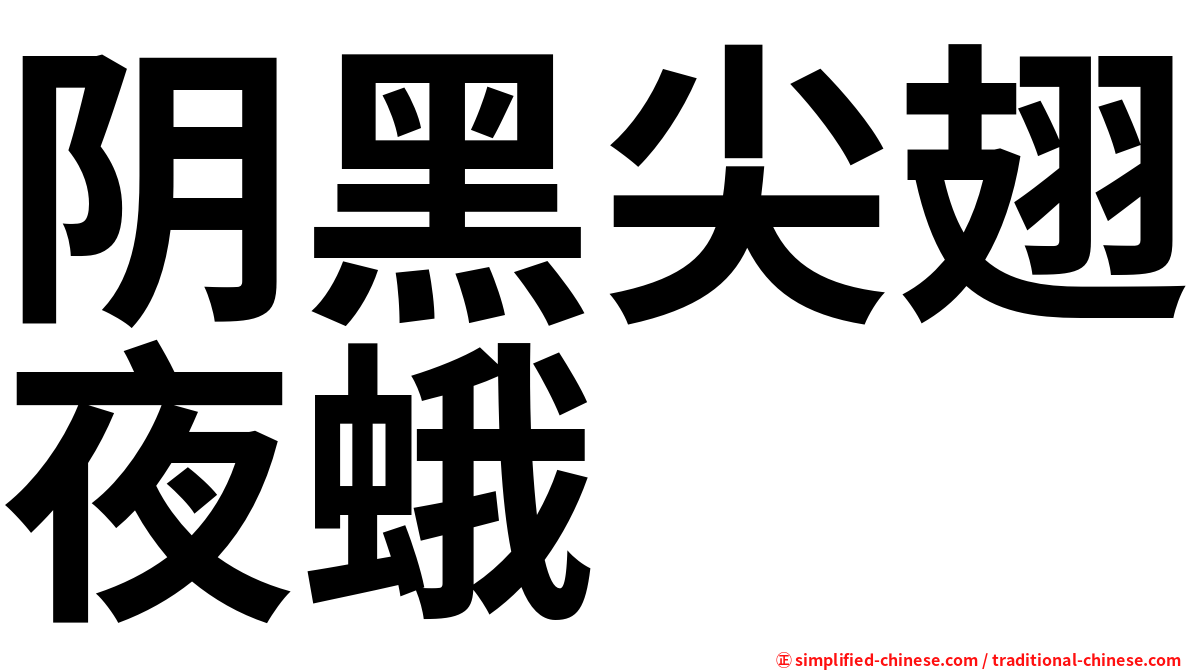 阴黑尖翅夜蛾