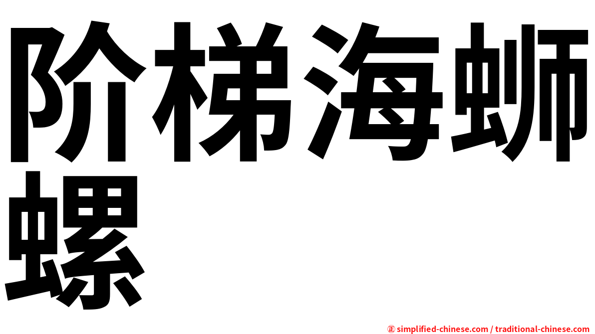 阶梯海蛳螺