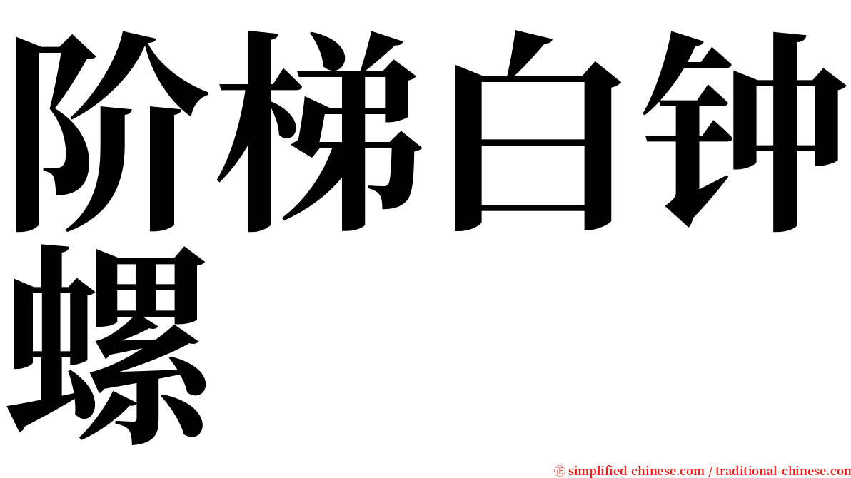 阶梯白钟螺 serif font