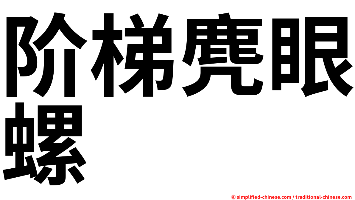 阶梯麂眼螺