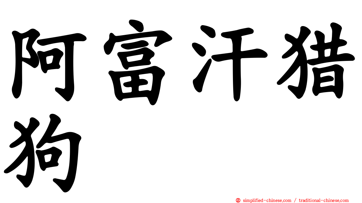 阿富汗猎狗